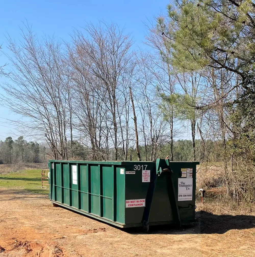 Green roll-off dumpster placed on a cleared dirt lot near trees